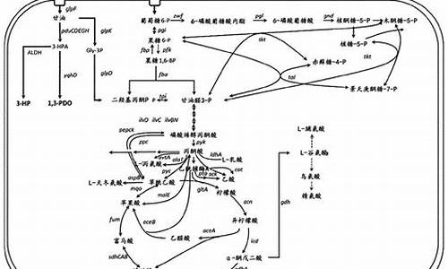 pdo的增删改源码_pdo增删改查